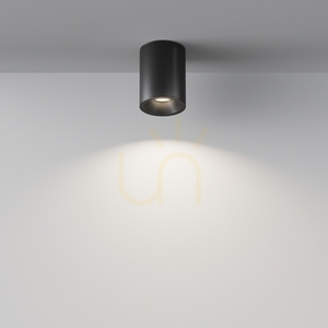 Plafond ZOOM C029CL-01B IP54 Maytoni small 4