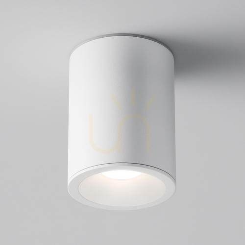 Check Plafond ZOOM C029CL-01W IP54 Maytoni