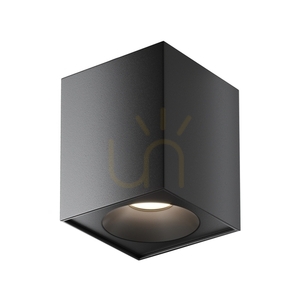 Plafond ZOOM C030CL-01B IP54 Maytoni small 2