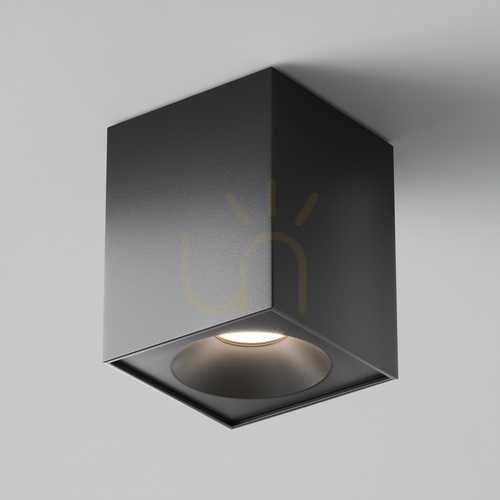 Check Plafond ZOOM C030CL-01B IP54 Maytoni