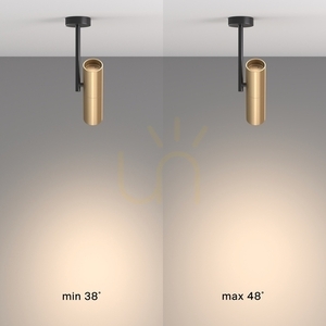 Plafond ELTI C020CL-01GB Maytoni small 4