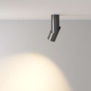Plafond DAFNE C027CL-L10B Maytoni small 5