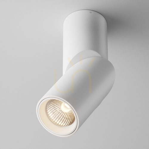 Check Plafond DAFNE C027CL-L10W Maytoni