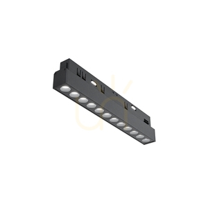 POINTS rail lamp TR031-4-12W3K-S-DS-B Maytoni small 1