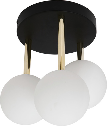 Check Ceiling lamp Zuma Line ALI 5644