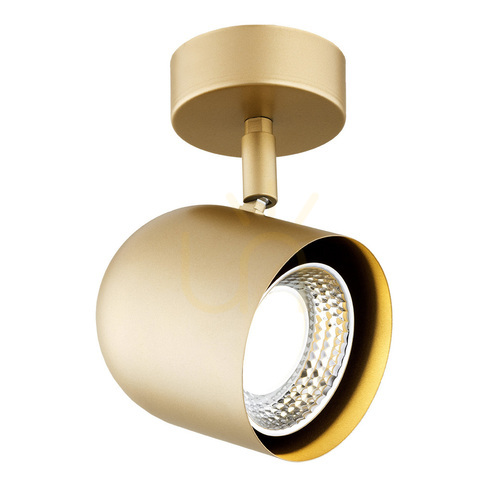 Check ARGON Isola Gold Wall Spotlight GU10 1x5W 8260
