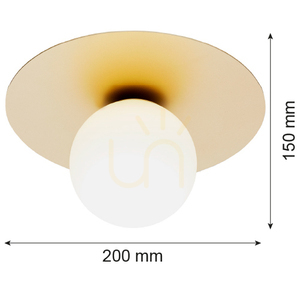 Plafon ARGON Spello opal matt złoty szklany E14 250 mm 8262 small 4