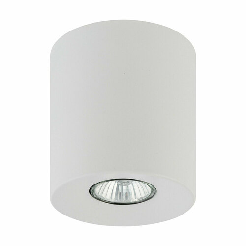 Check Orion White Ceiling Lamp 1 Pł
