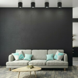 Orion Black Ceiling Lamp 1 Pł small 2