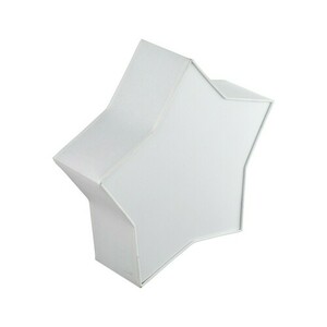 Star White Ceiling Lamp 2 small 2