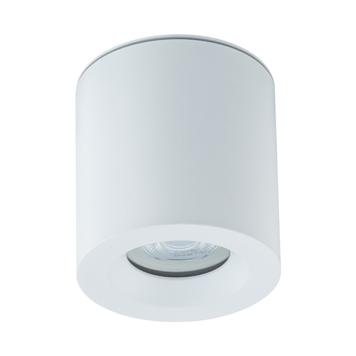 Check Nowodvorski Surface Mounted Lamp 10715