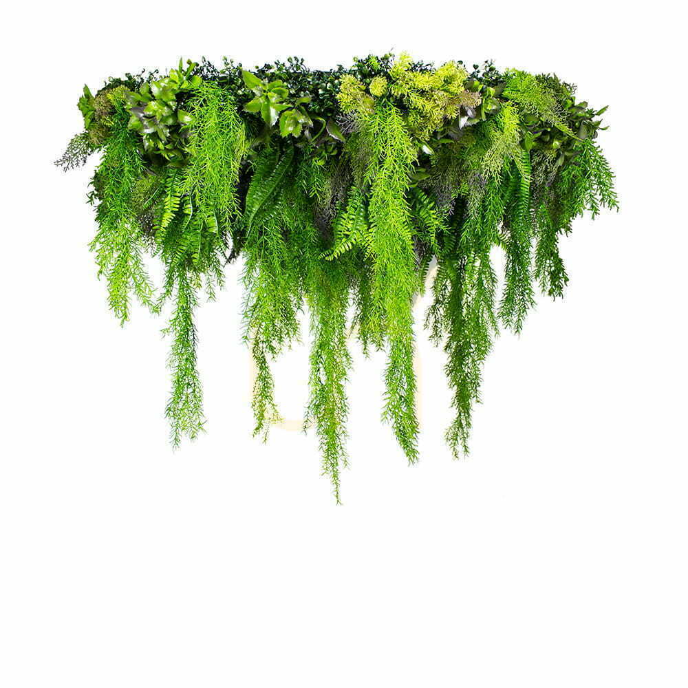 Violet Pinch100cm artificial plant ceiling