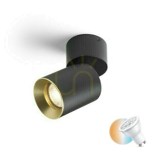 Rendl Dario Surface-Mounted Ceiling Light Black with Brushed Brass GU10 9 W small 0