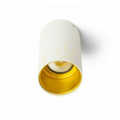 Check Downlight Ceiling Tube Matte White/Gold 230 V Gu10 35 Watt.