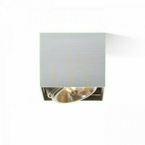 Downlight Dean I Brushed Aluminum 230 V/12 V G53 50 W. small 2