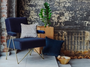 CustomForm FILO armchair – FRUITY RV81 Aronia, gold frame small 2