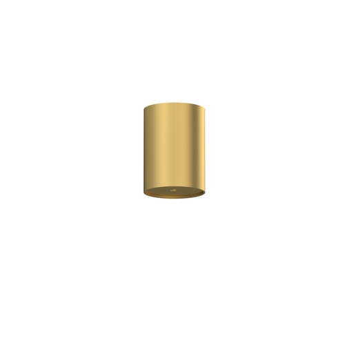 Check Cameleon Canopy CAMELEON CANOPY E GOLD 10532 Nowodvorski