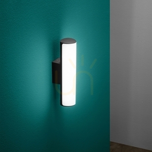 Outdoor Wall Lamp Ideallux Etere 172408 Anthracite LED 4000K 30 cm small 2
