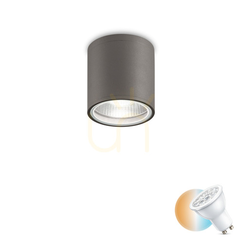 Check Outdoor Ceiling Light Ideallux GUN PL1 Anthracite GU10 11cm 236865