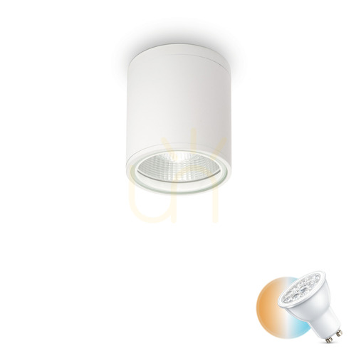 Check External Ceiling Light Ideallux GUN PL1 Bianco White GU10 IP44 11cm 122663