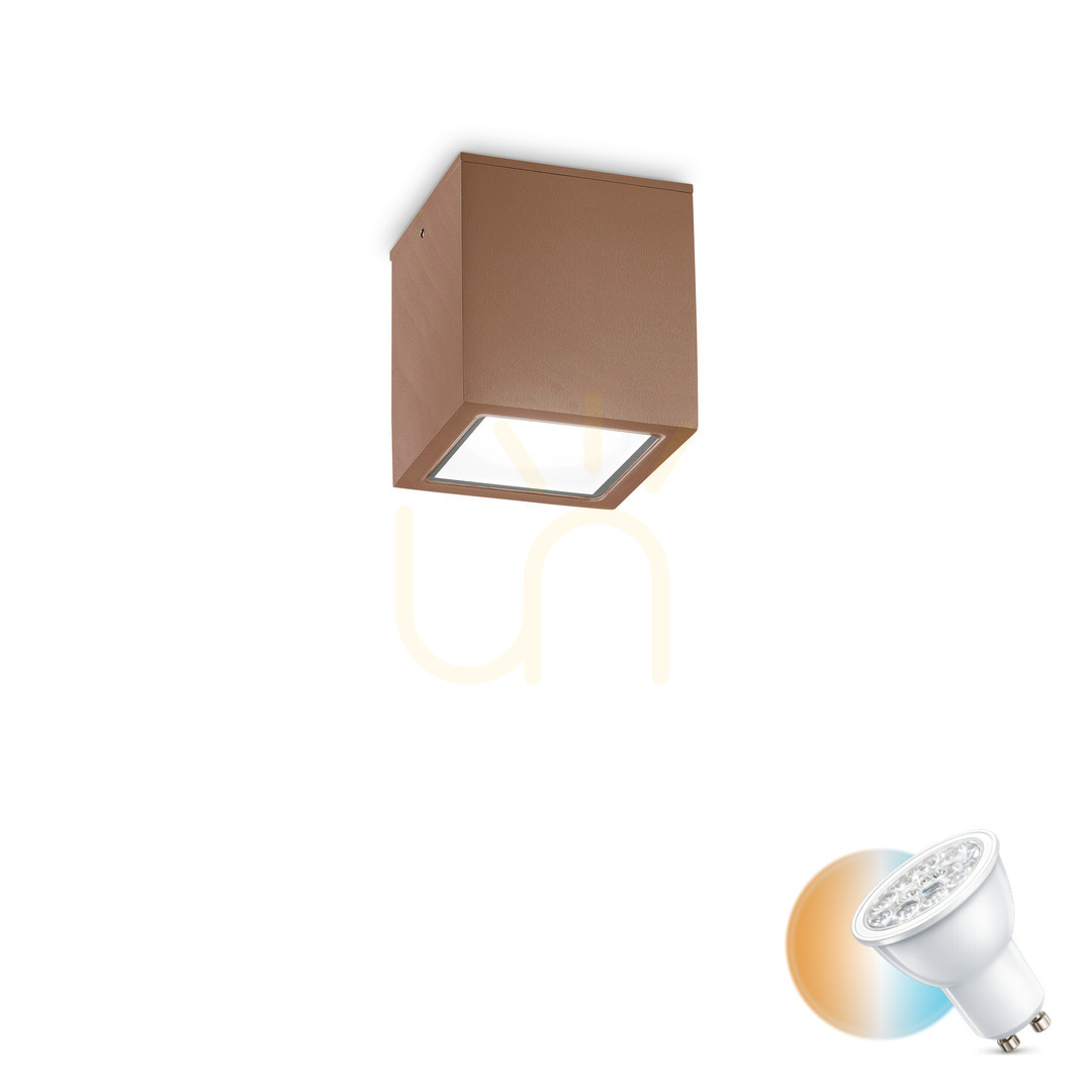 Outdoor ceiling light Ideallux TECHO PL1 Small Coffee GU10 251592