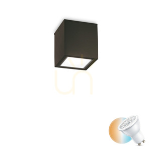 External Ceiling Light Ideallux Techo PL1 Small Black GU10 IP54 251578 small 0