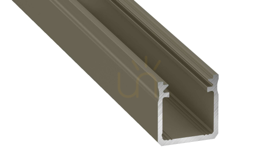 LED profile LUMINES type Y inox anodized 1 m