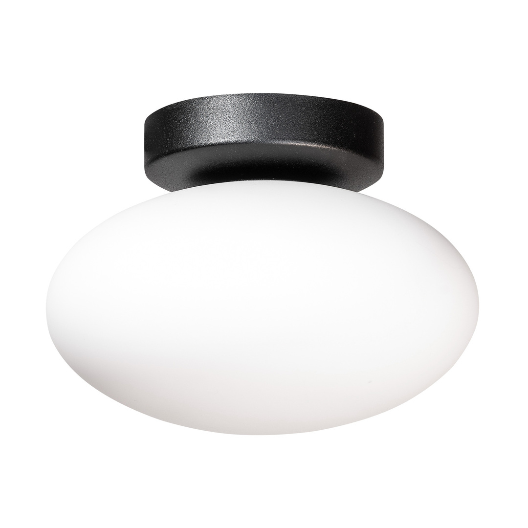 Ceiling lamp Zuma Line OMI 1186 black