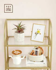 Bookcase - LGT051A61 small 3