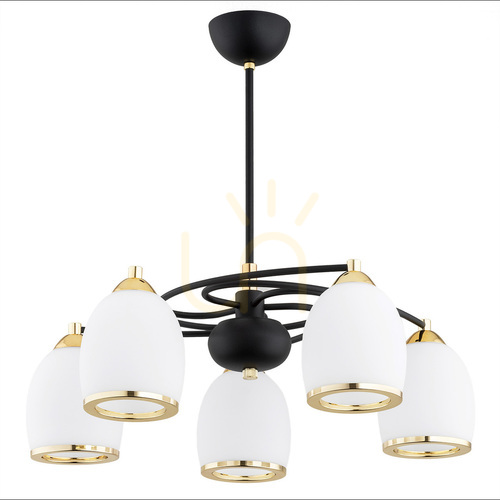 Check Argon AVILA PLUS 5-Light White Brass Glass Chandelier 2115