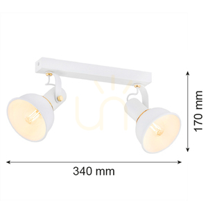 Plafon ARGON Twist biały mosiądz 2xE14 7036 small 3