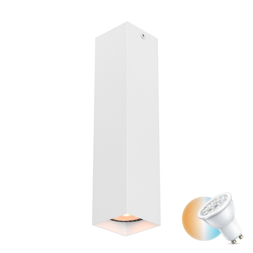 Check Italux Surface Mounted Lamp White GU10 Aluminum 24 cm CLN-28394-L-WH