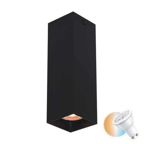 Check Italux Ander Surface-Mounted Lamp GU10 Black Aluminum CLN-28394-M-BK