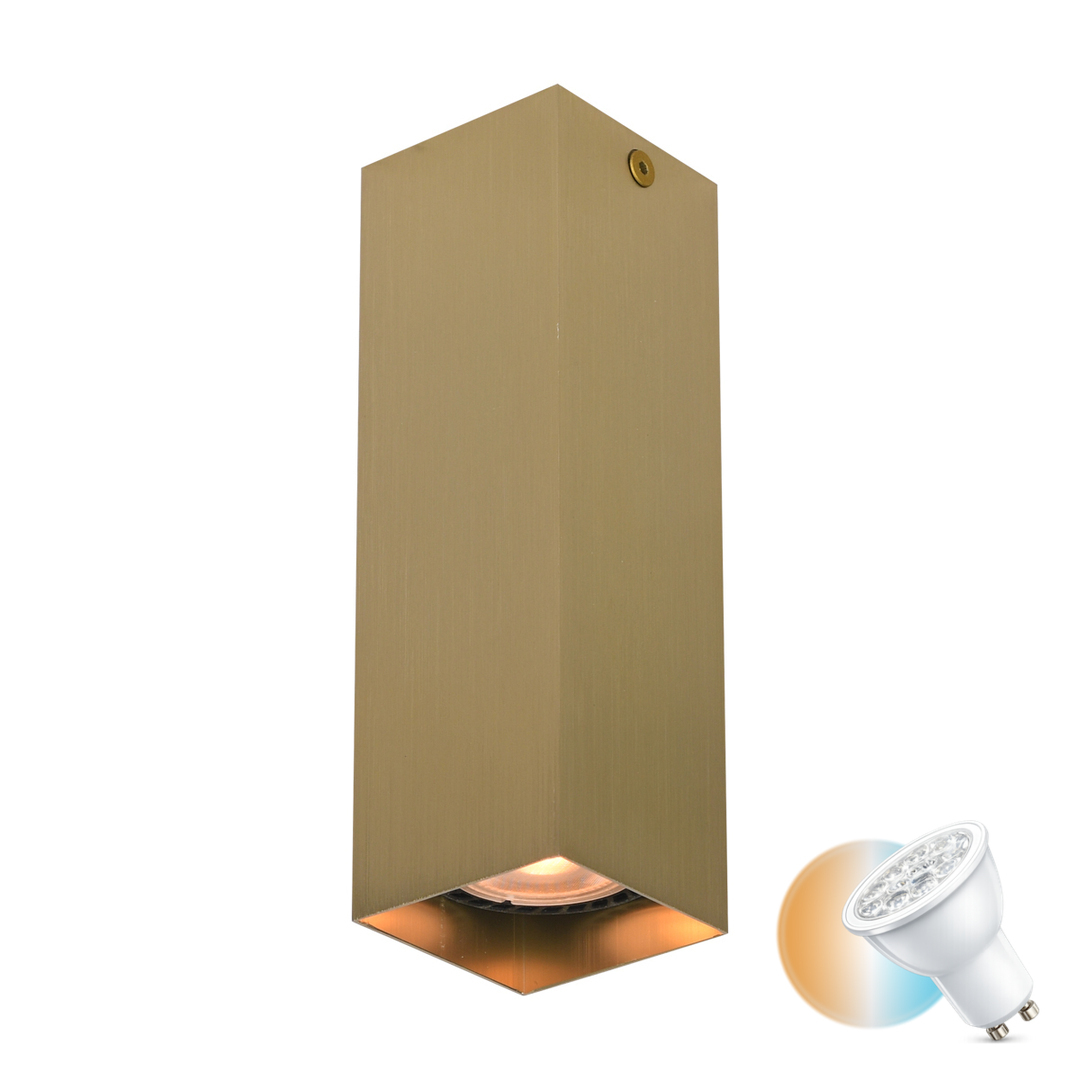 Surface Mounted Lamp Italux Black GU10 Aluminum 17 cm CLN-28394-M-GD