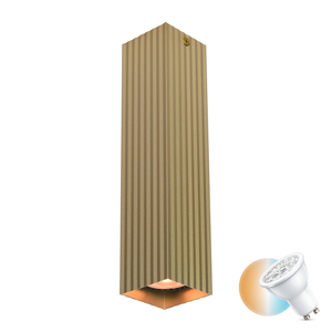 Italux Tecno GU10 Surface-Mounted Lamp Gold Aluminum CLN-37492-L-GD small 0