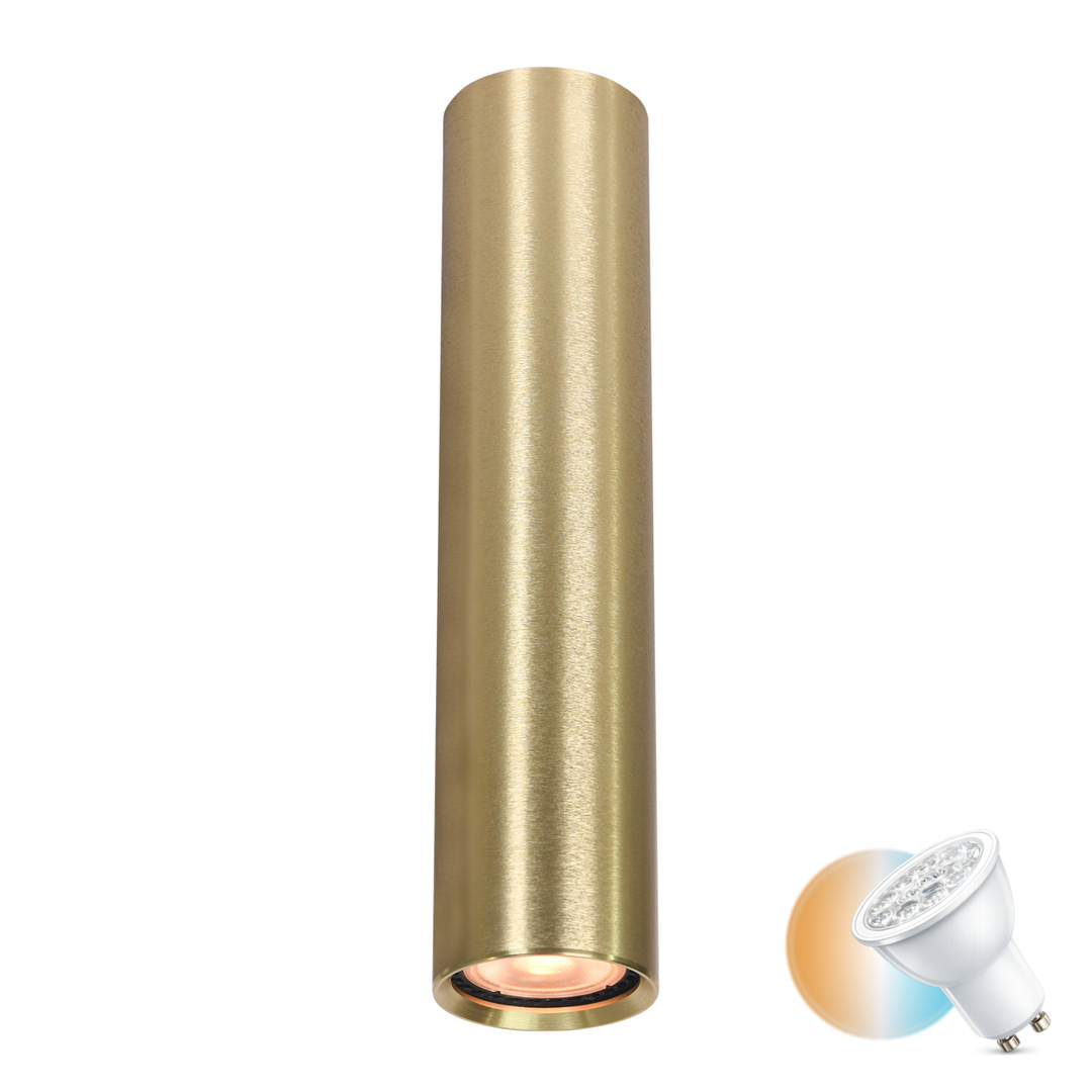 Italux Gold GU10 Surface Mounted Lamp 24 cm Aluminum CLN-48930-L-GD