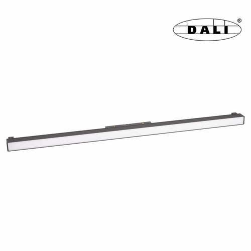 Check Track Light Max Light MAX M0002D magnetic linear black 60 cm DALI 17W 3000K