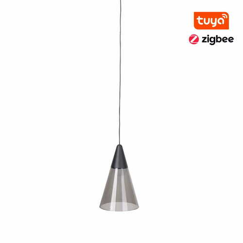 Check Pendant Light Max Light MAX M0015Z Zigbee LED 6W Black 12 cm
