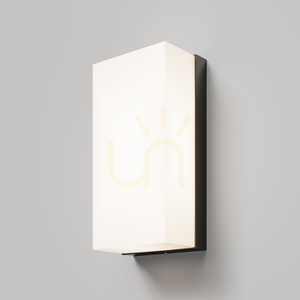 BADD outdoor wall lamp O454WL-L10GF3K IP54 Maytoni small 0