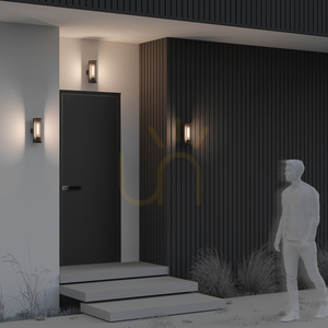 CONF outdoor wall lamp O451WL-01GF IP54 Maytoni small 7