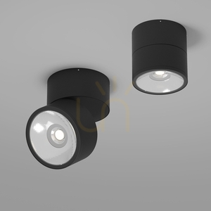 SPIN outdoor plafonds O310CL-L12GF3K IP54 Maytoni small 4