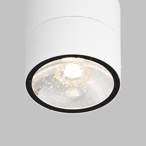 SPIN O310CL-L12W3K outdoor plafonds IP54 Maytoni small 4