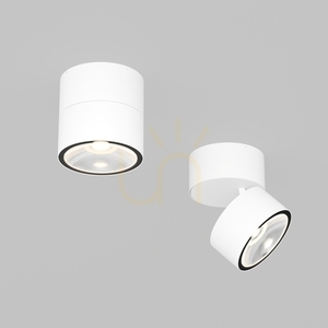 SPIN O310CL-L12W3K outdoor plafonds IP54 Maytoni small 5