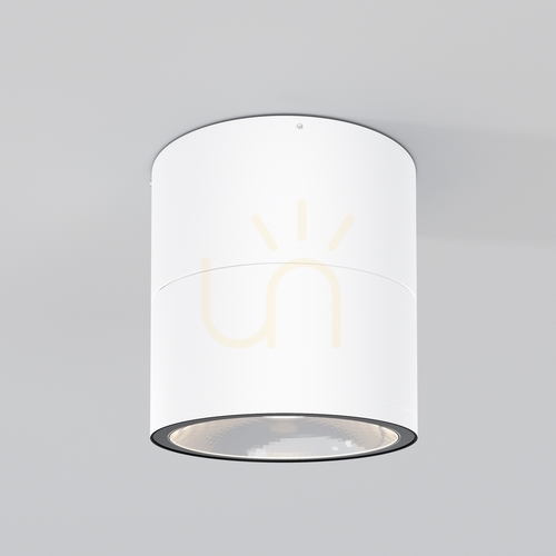 Check SPIN O310CL-L12W3K outdoor plafonds IP54 Maytoni