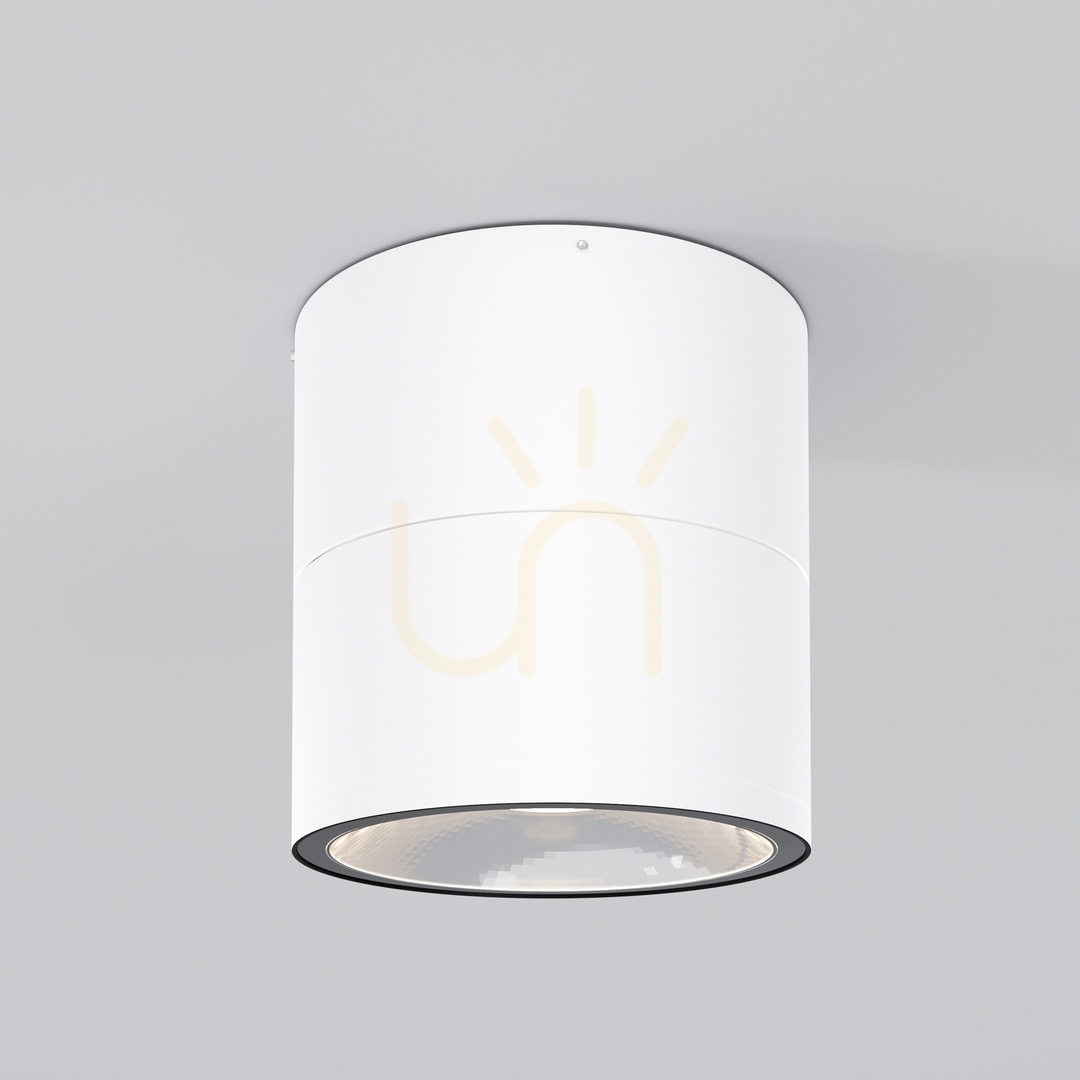 SPIN O310CL-L12W3K outdoor plafonds IP54 Maytoni