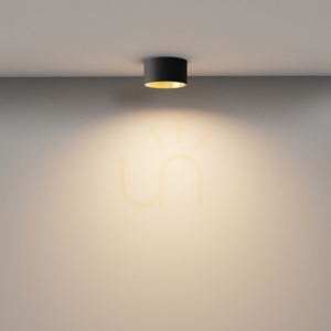 Plafond VEGA C089CL-12W3K-BMG Maytoni small 3