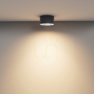 Plafond VEGA C089CL-15W3K-B Maytoni small 3