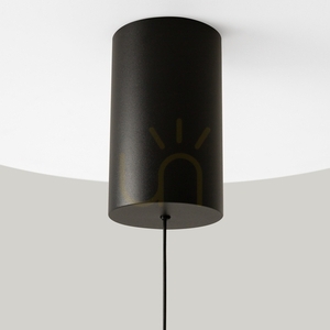 PLATO pendant lamp P076PL-L12W3K-B Maytoni small 4