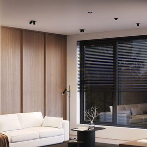 HIDDEN recessed luminaire DL095-01-10W3K-B Maytoni small 1