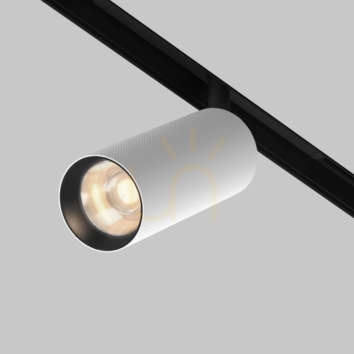 Check ARTISAN TR097-2-12W3K-M-BW busbar spotlight Maytoni